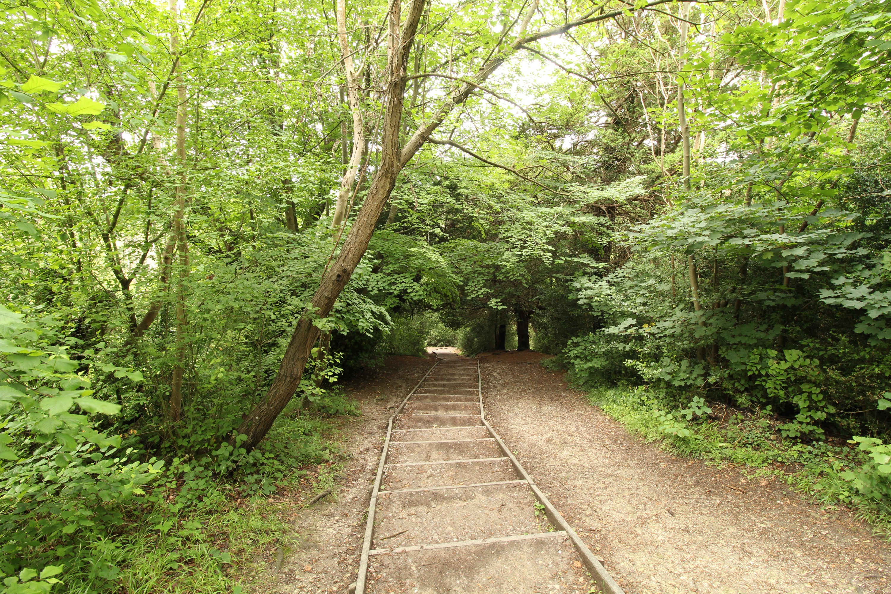 A view of the new Box Hill steps