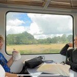 Young people in Surrey pilot innovative accessible travel app for neurodivergent&nbsp;people