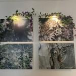 Photography exhibition celebrates nature, confidence, and creativity thanks to Mental Health Investment Fund 