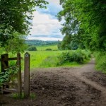 Improving the county council’s 10,000 acre countryside&nbsp;estate